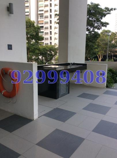 Lucida (D11), Apartment #67111022
